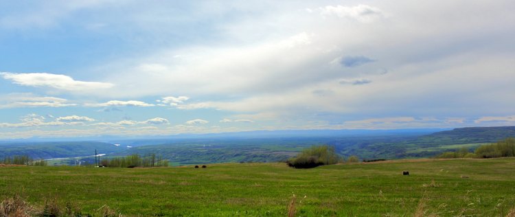 Looking West Down the Peace River Valley.
