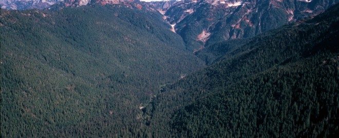 Upper Watershed